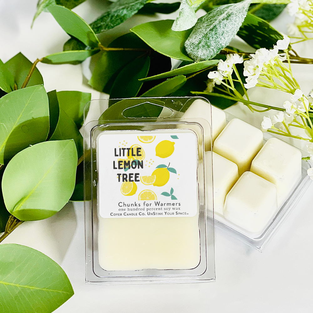 Signature Collection - Soy Wax Melts: Choose Happiness